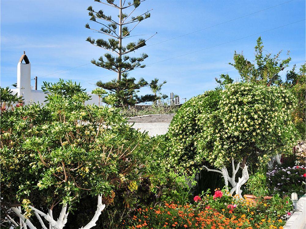 Dimitra Pension Mykonos Town Ngoại thất bức ảnh